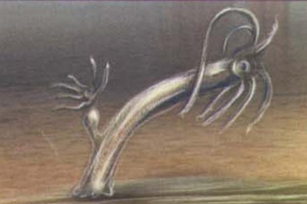 Kraken 9 at клиар ссылка