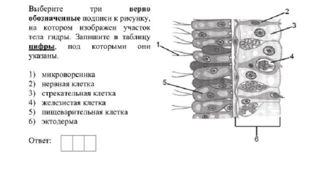 Оригинальная ссылка на кракен