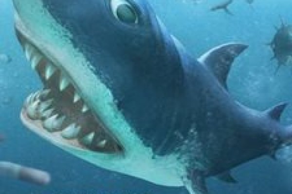 2krn сс что это