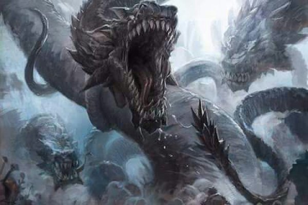 Kraken network