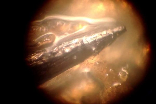 Kraken zerkalo официальный сайт