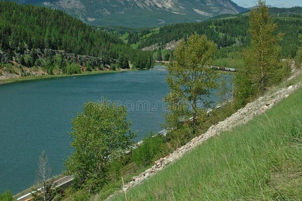 Правила модераторов кракен площадка
