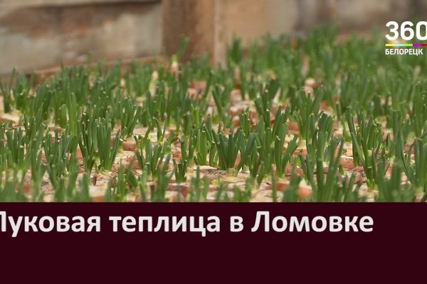 Kraken зеркало рабочее
